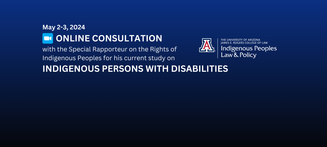 Online Consultation with UN Special Rapporteur on the Rights of Indigenous Peoples